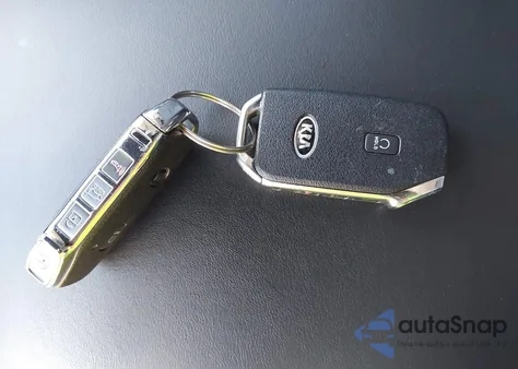 2021 Kia Telluride Ex z USA, uszkodzony, nr VIN 5XYP3DHC4MG156425